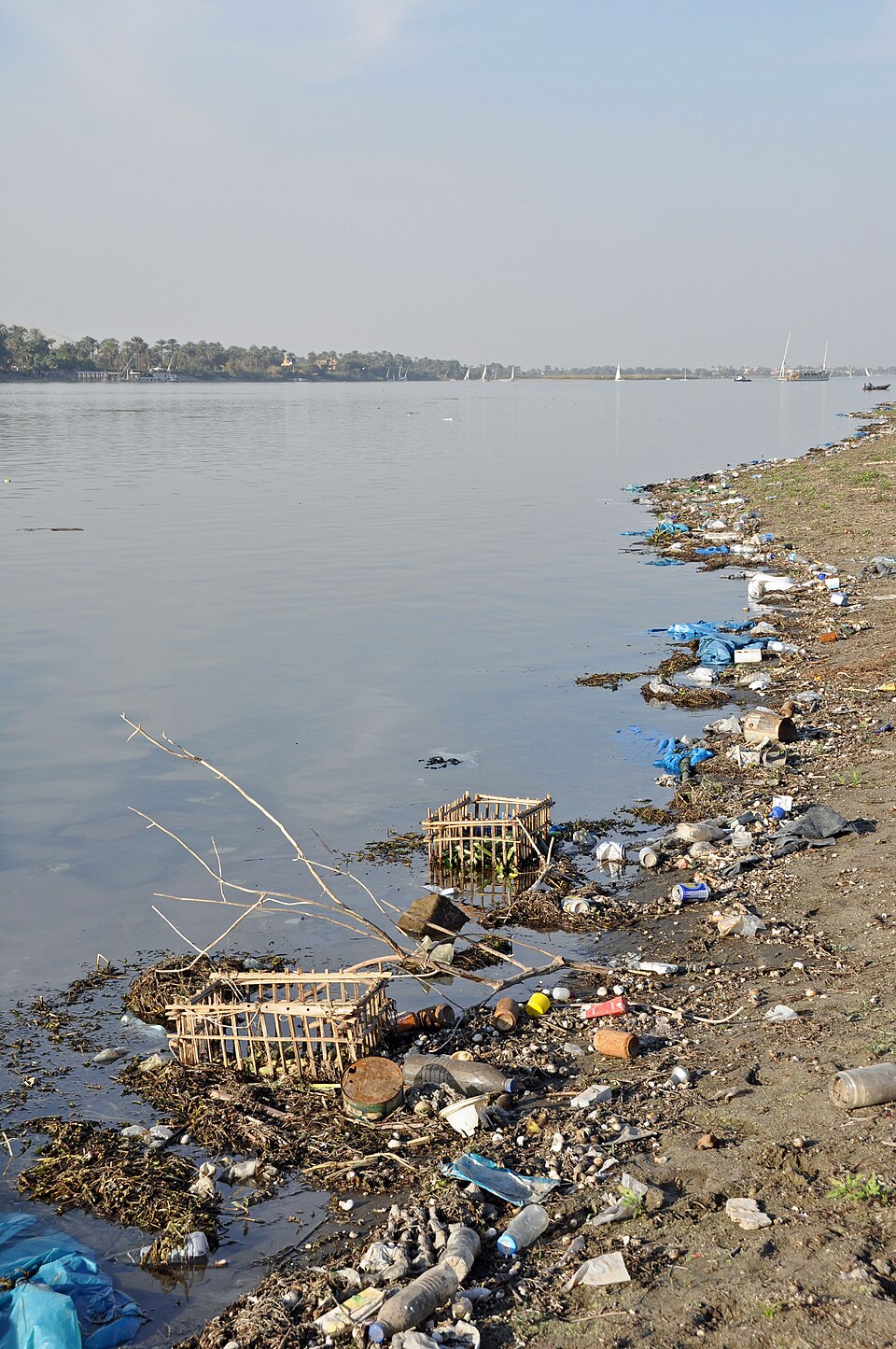 Nile River Pollution Crisis