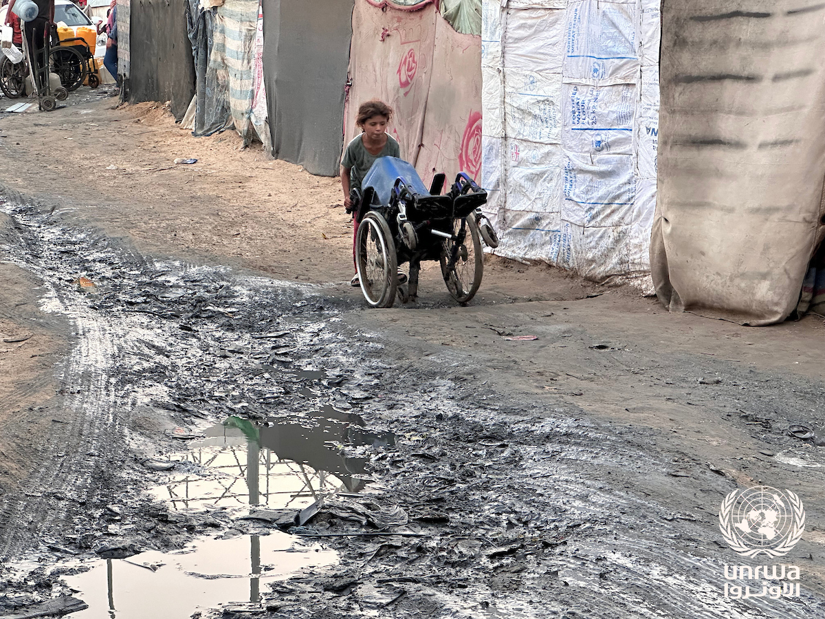 gaza_environment_crisis